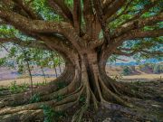 007 Joseph Gebhardt 3